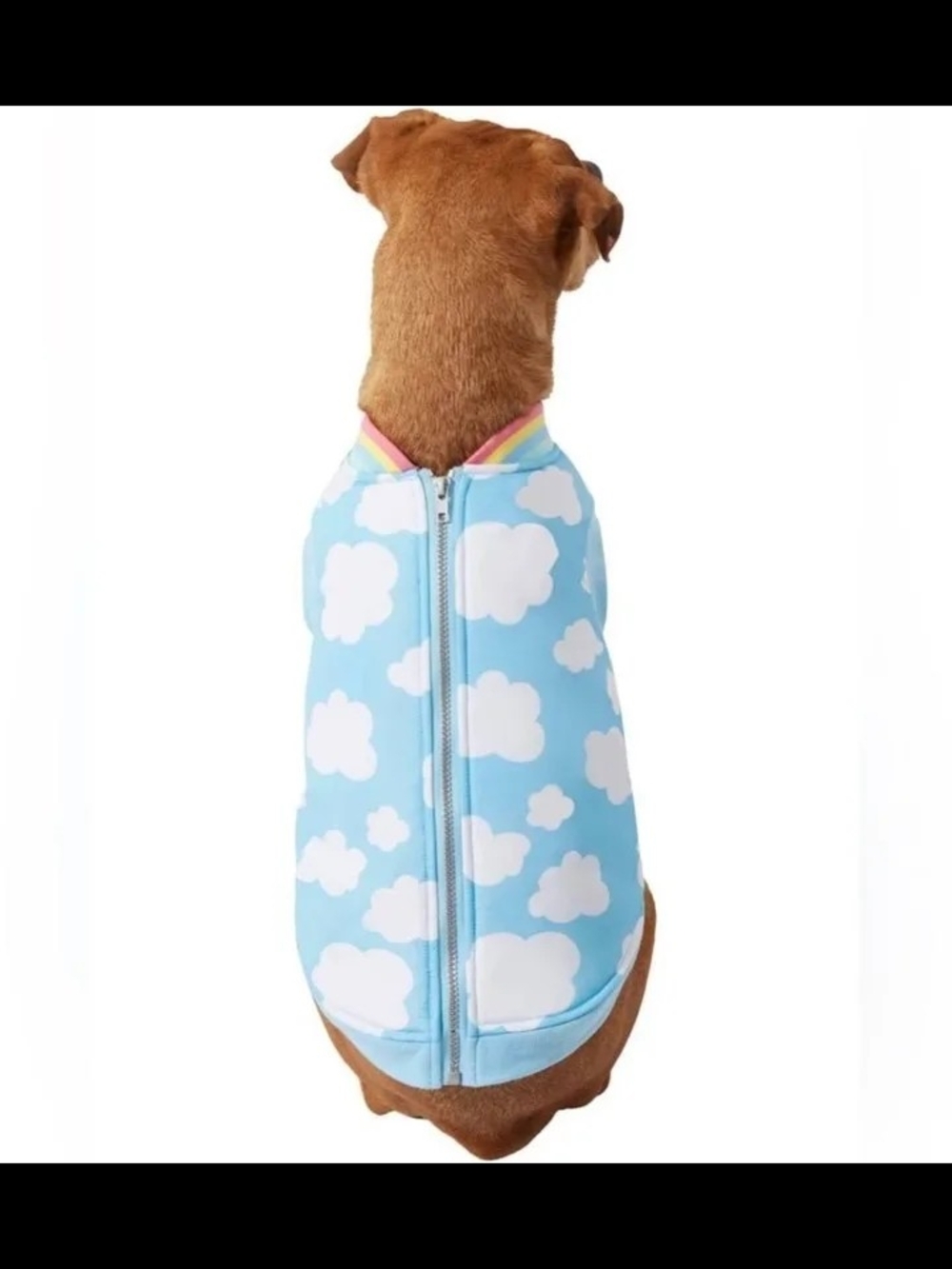 Wag-a-tude Cloud Print Blue Dog Jacket with Zipper